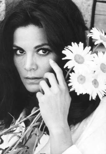 Image of Florinda Bolkan